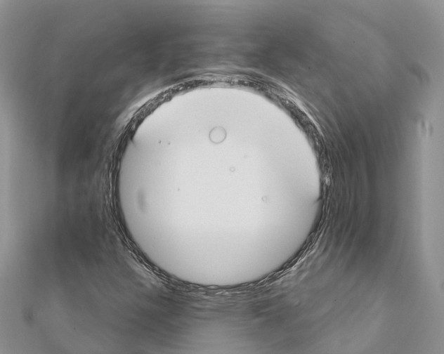 X0000111381304200908211331