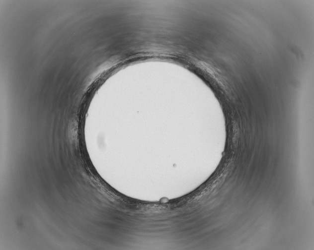 X0000111381307200908211331