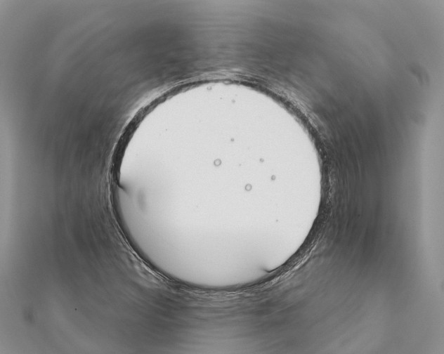 X0000111381308200908211331