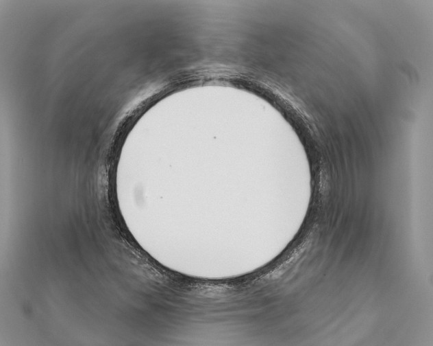 X0000111381309200908211331