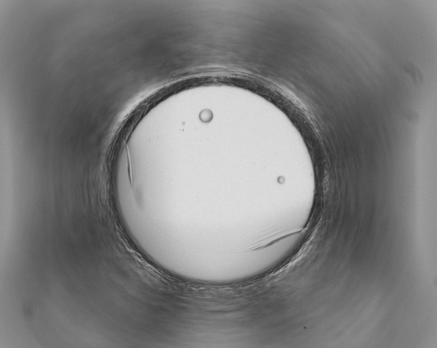 X0000111381310200908211331