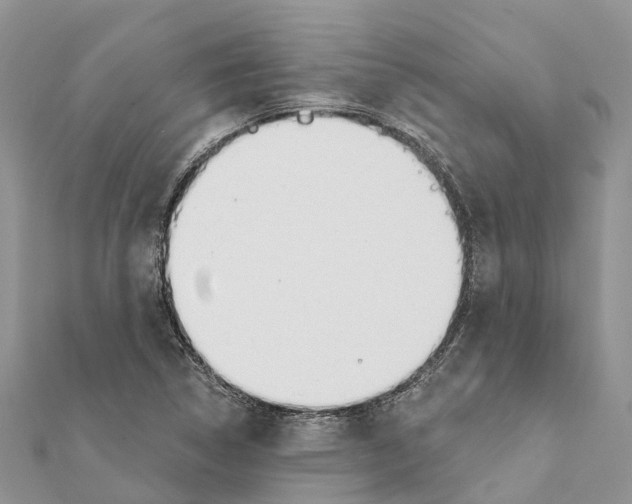 X0000111381314200908211331