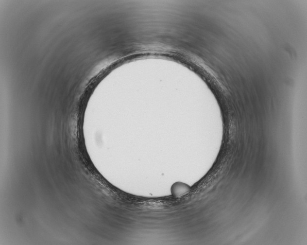 X0000111381315200908211331