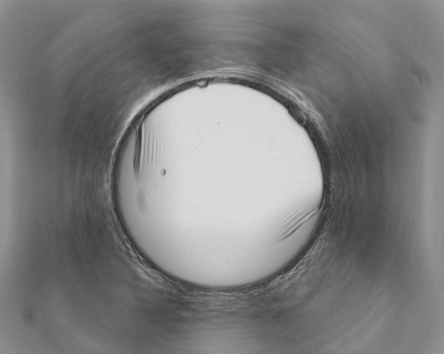 X0000111381316200908211331