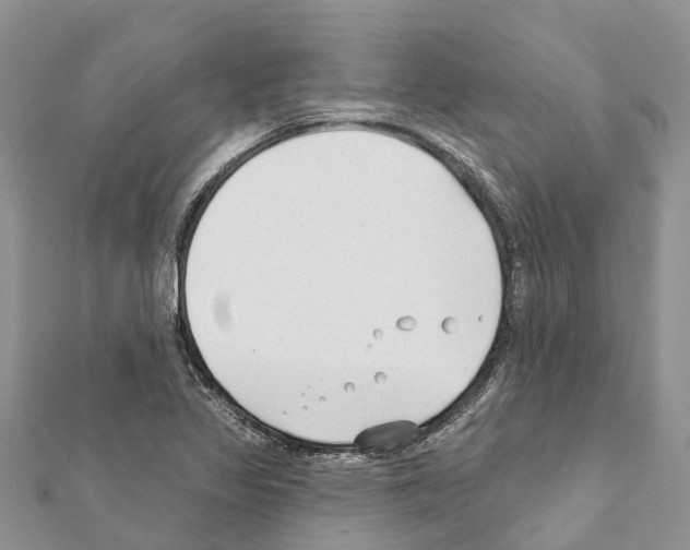 X0000111381317200908211331