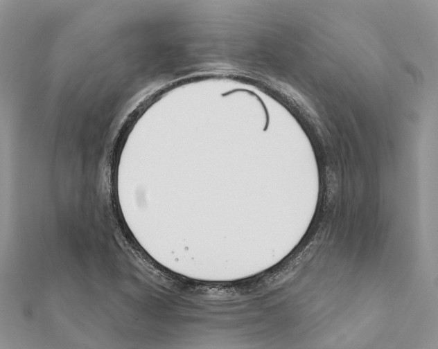 X0000111381318200908211331