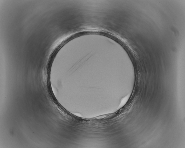 X0000111381319200908211331