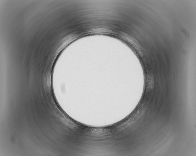 X0000111381322200908211331