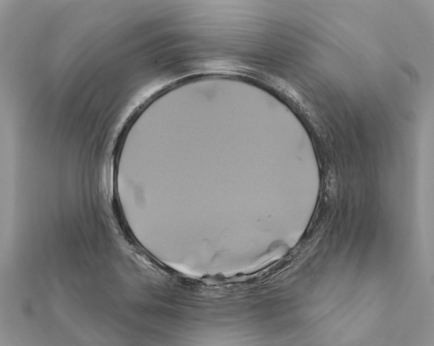 X0000111381323200908211331