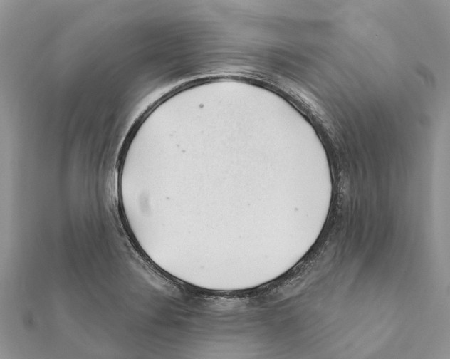 X0000111381324200908211331