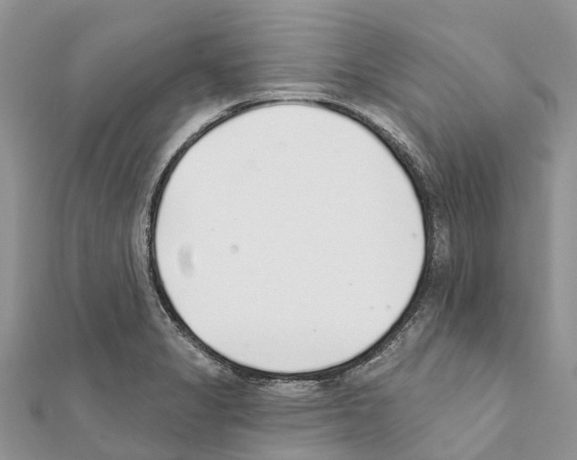 X0000111381325200908211331