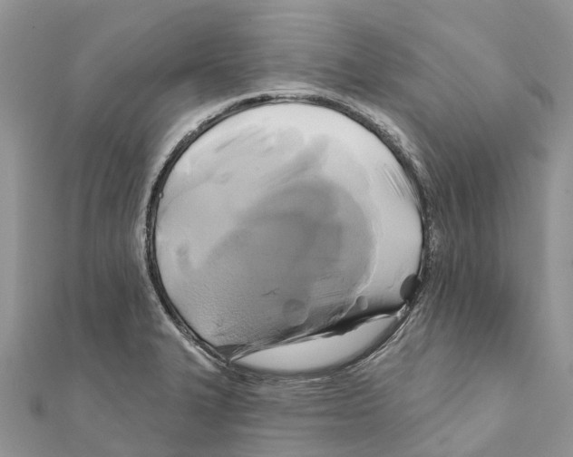 X0000111381327200908211331