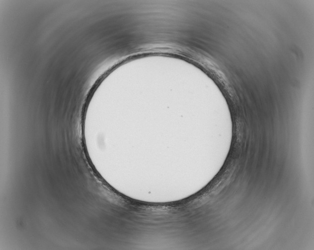 X0000111381328200908211331