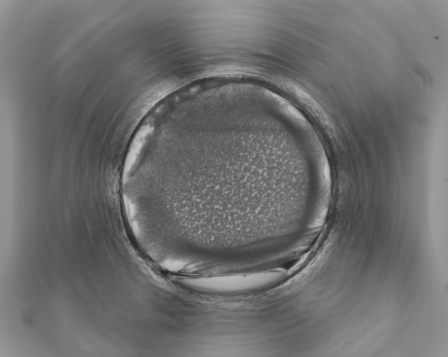 X0000111381329200908211331