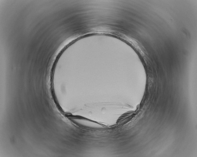 X0000111381331200908211331