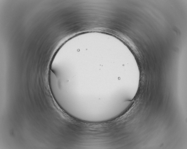 X0000111381332200908211331