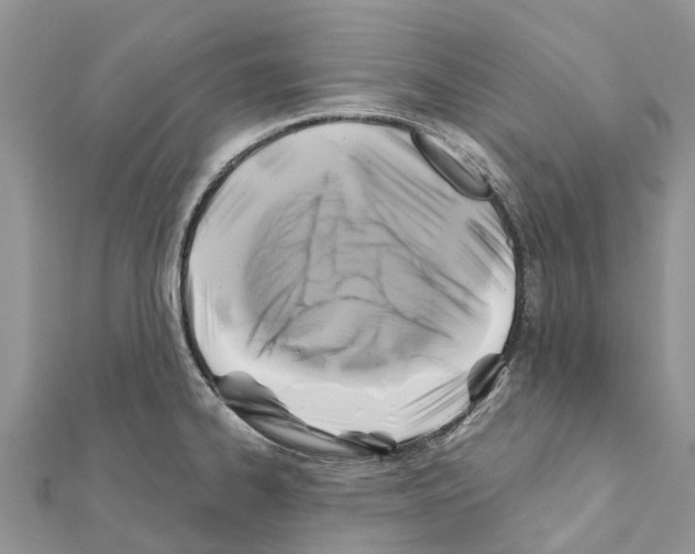 X0000111381334200908211331