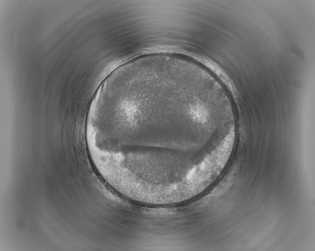 X0000111381337200908211331