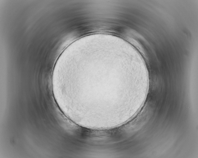 X0000111381338200908211332