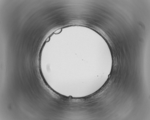 X0000111381339200908211332