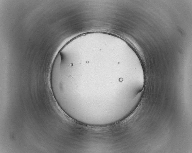 X0000111381340200908211332