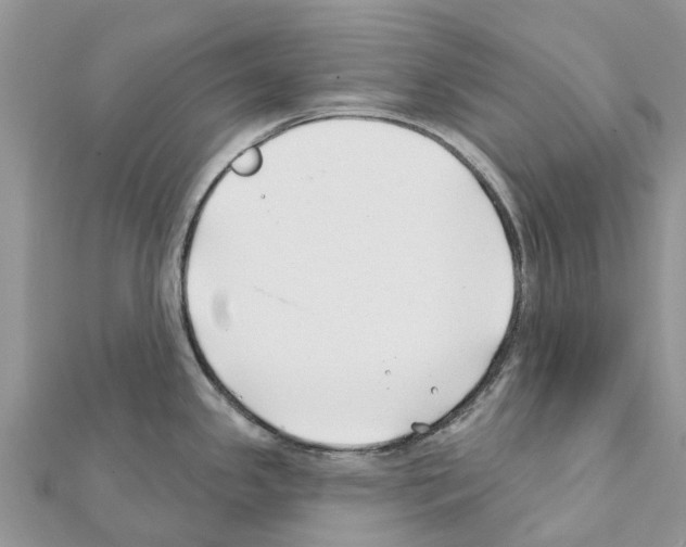 X0000111381341200908211332