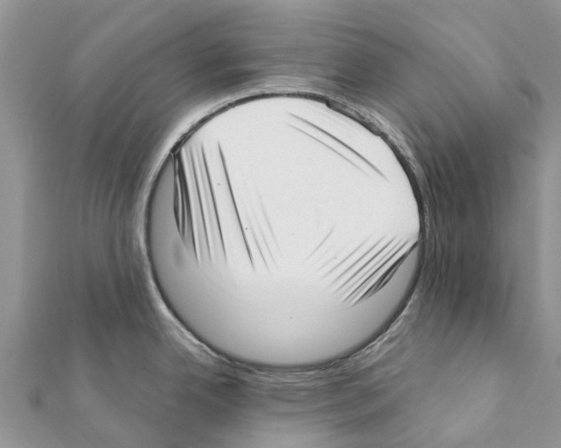 X0000111381342200908211332