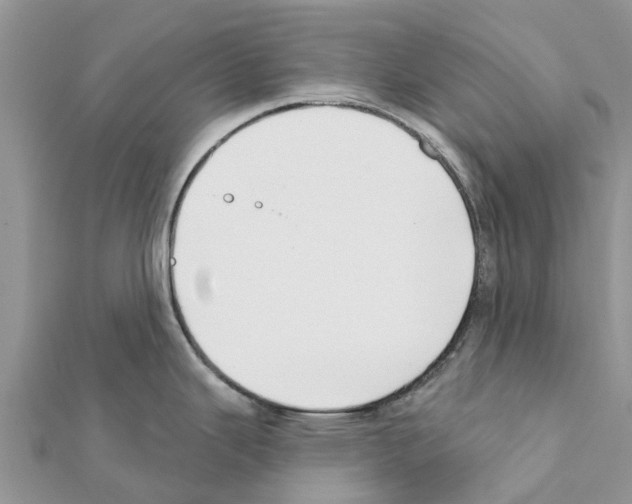 X0000111381343200908211332