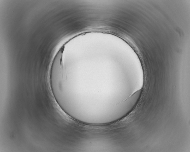 X0000111381344200908211332