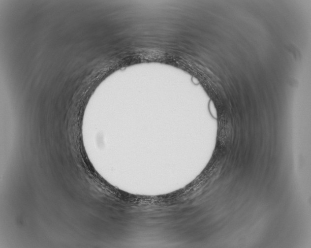 X0000111381345200908211331