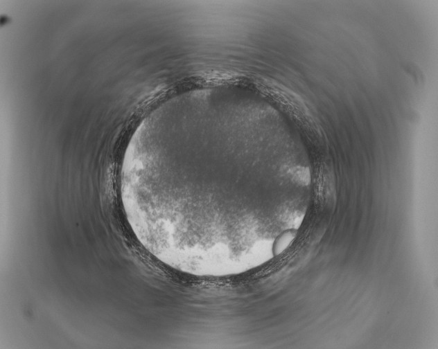 X0000111381346200908211331