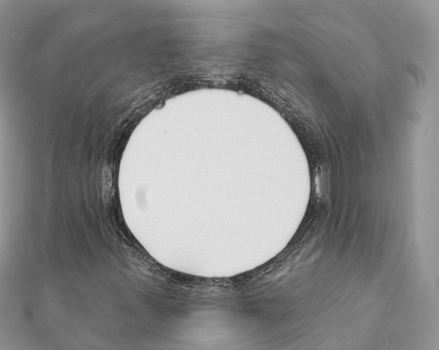 X0000111381347200908211331