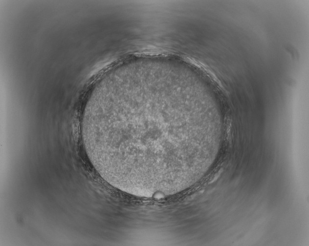 X0000111381350200908211331