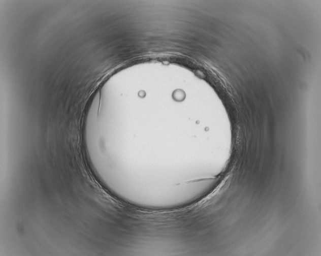 X0000111381353200908211331