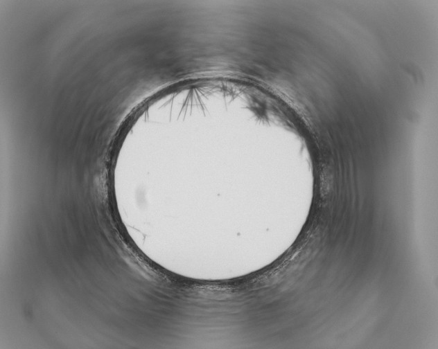 X0000111381356200908211331