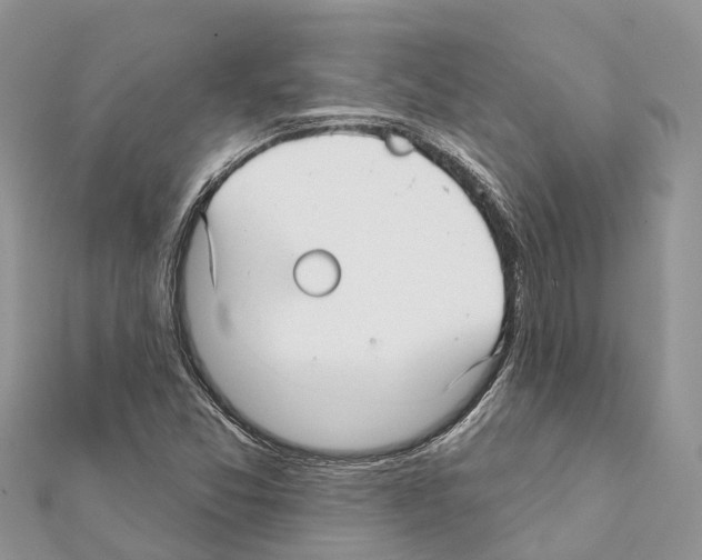 X0000111381357200908211331