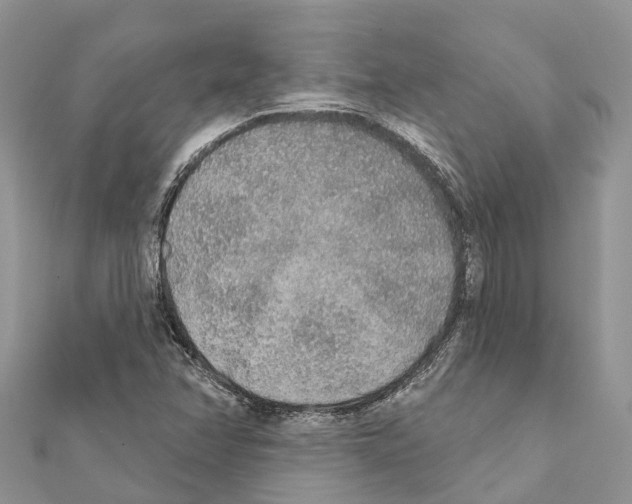 X0000111381358200908211331