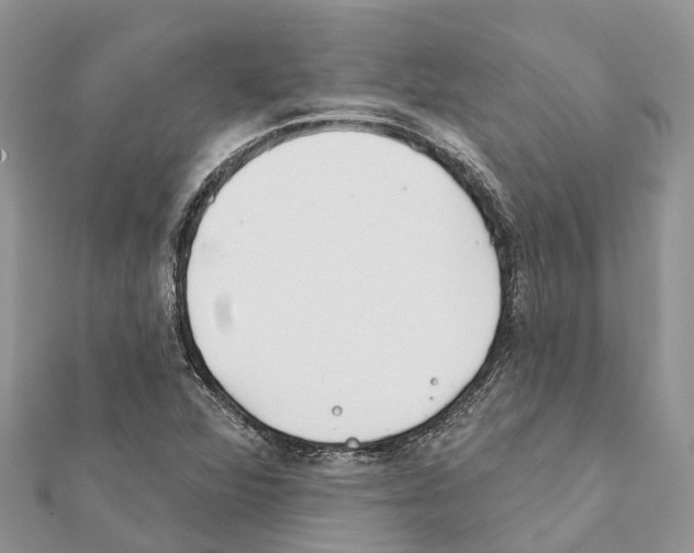 X0000111381360200908211331