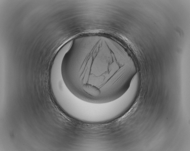 X0000111381361200908211331