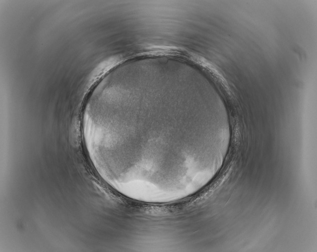 X0000111381362200908211331