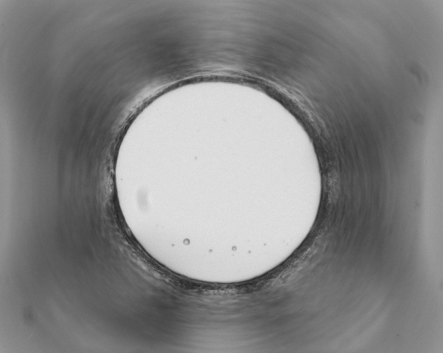 X0000111381363200908211331