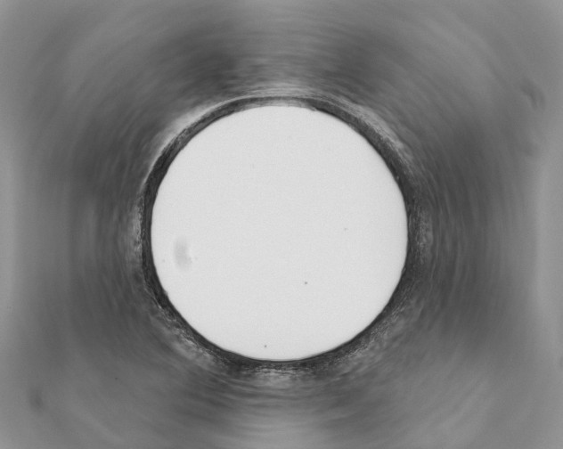 X0000111381364200908211331