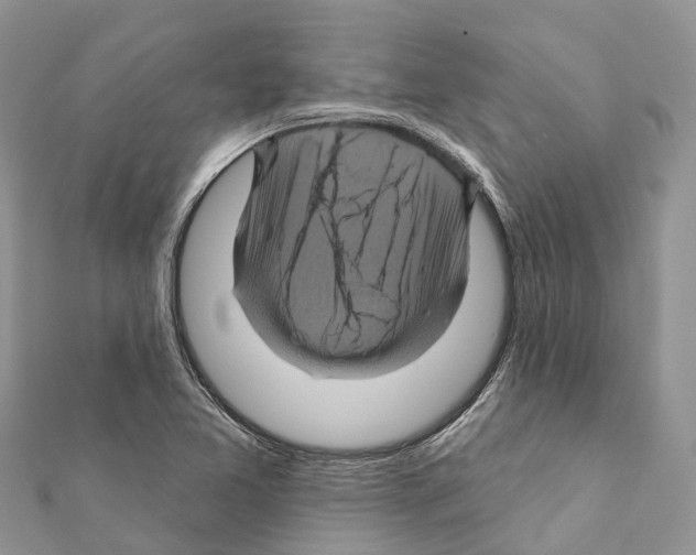 X0000111381365200908211331