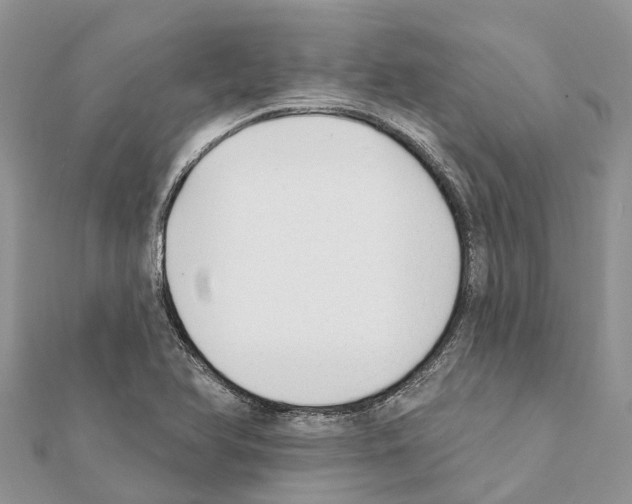 X0000111381366200908211331