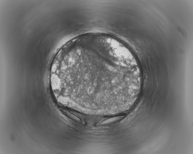 X0000111381367200908211331