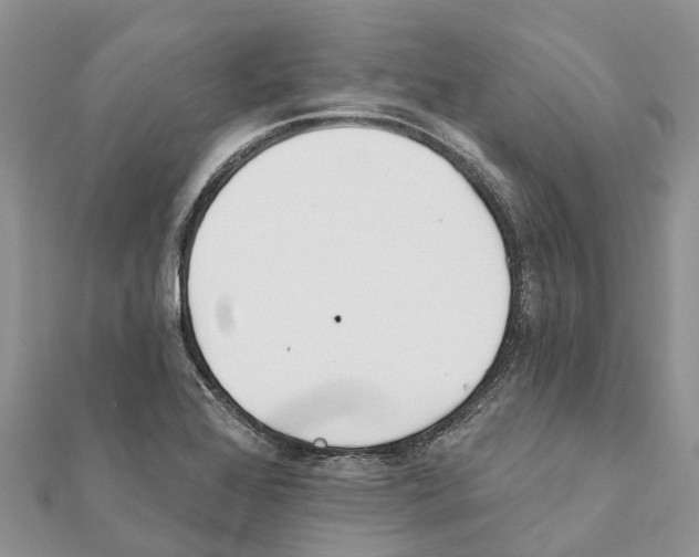 X0000111381368200908211331