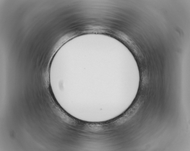 X0000111381370200908211331