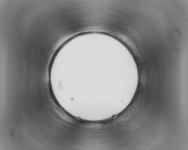 X0000111381372200908211331