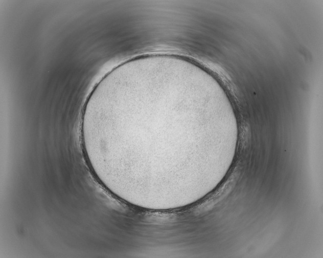 X0000111381374200908211330