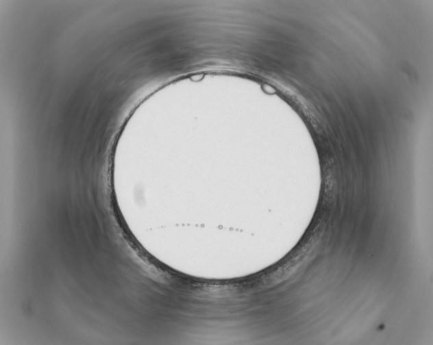 X0000111381375200908211330